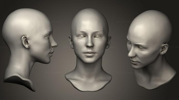 Anatomy of skeletons and skulls (Female Head 11, ANTM_0507) 3D models for cnc
